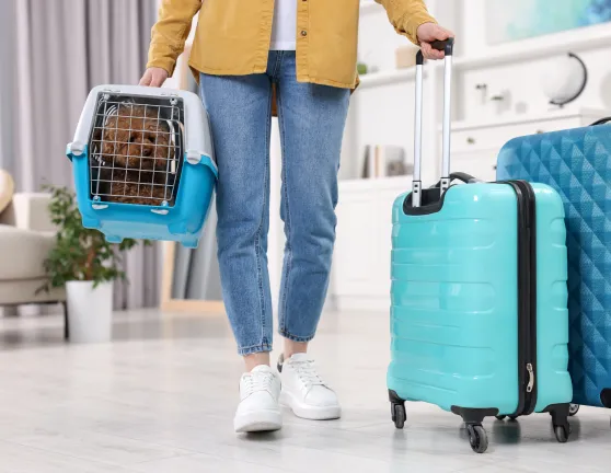 Persona con maletas y un perro metido en un transportín